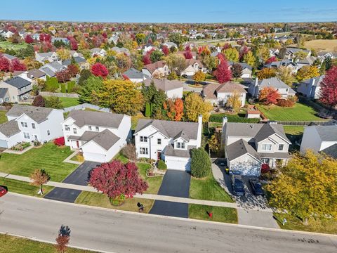 Tiny photo for 4811 Princeton Lane, Lake In The Hills, IL 60156 (MLS # 12501365)