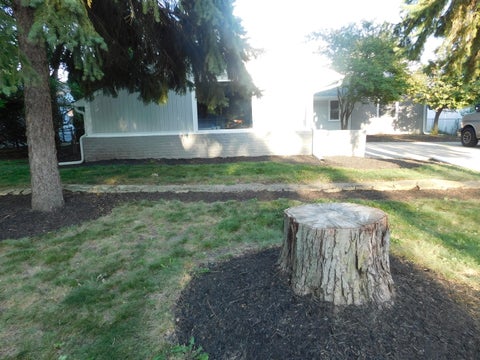 Tiny photo for 212 N Pinecrest Road, Bolingbrook, IL 60440 (MLS # 12752256)