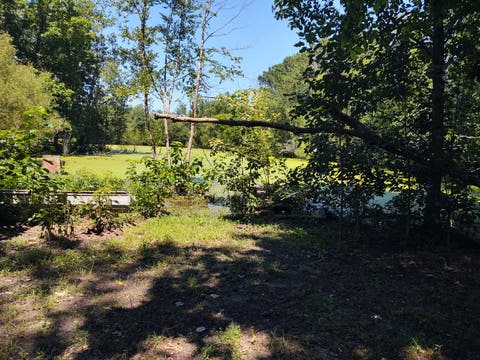 Tiny photo for 200 Caraway Lane, Goreville, IL 62939 (MLS # 12701729)