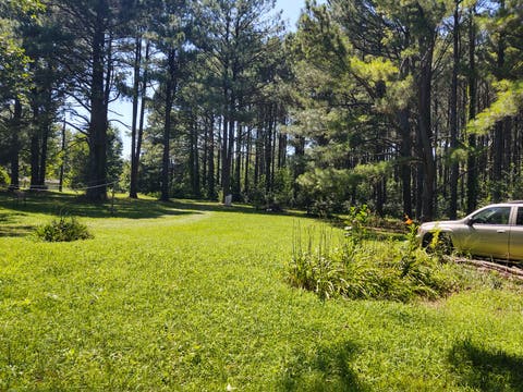 Tiny photo for 200 Caraway Lane, Goreville, IL 62939 (MLS # 12701729)