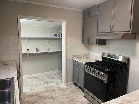 Tiny photo for 1202 E Parham Street, Marion, IL 62959 (MLS # QC4269420)