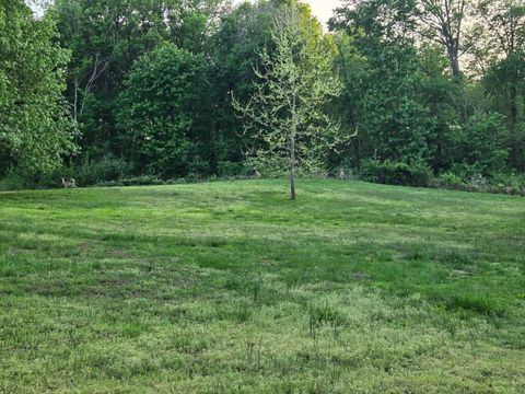 Tiny photo for 17647 N Old Centralia Lane, Mt Vernon, IL 62864 (MLS # 12629429)