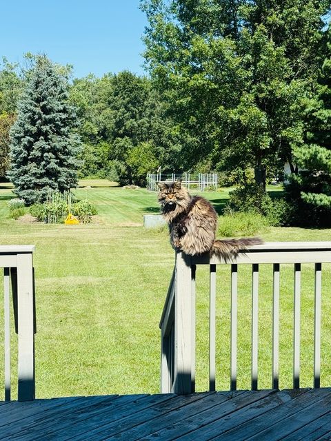 Tiny photo for 120 W Grandin Road, Morris, IL 60450 (MLS # 12583123)