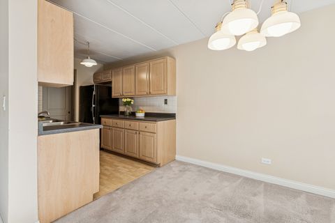 Tiny photo for 5S040 Pebblewood Lane #406E, Naperville, IL 60563 (MLS # 12496133)