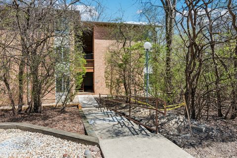 5803 Oakwood Drive Unit B, Lisle, IL 60532 - #: 12336546