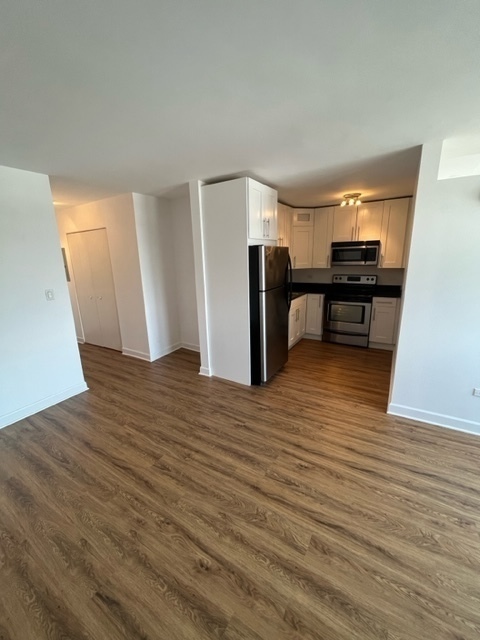 3033 N Sheridan Road 1108