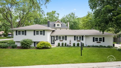 Photo of 325 Hemlock Lane, Naperville, IL 60540 (MLS # 12642719)