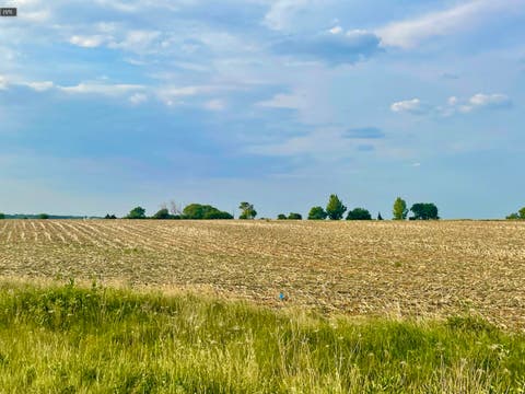 MLS: 12616539