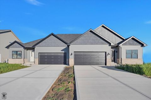 Tiny photo for 1165 S. Farmstone Drive, Diamond, IL 60416 (MLS # 12503307)