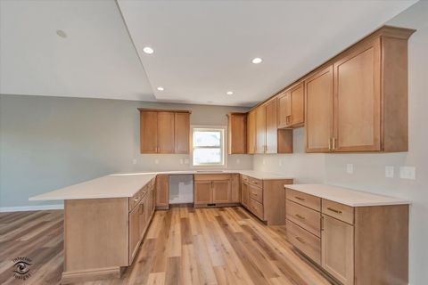 Tiny photo for 1165 S. Farmstone Drive, Diamond, IL 60416 (MLS # 12503307)