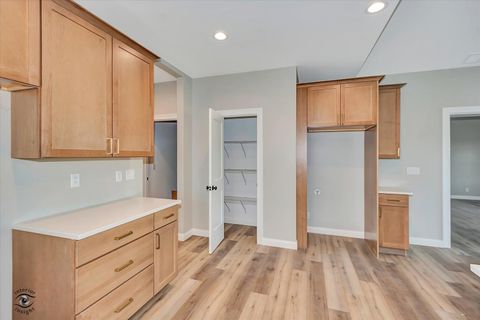 Tiny photo for 1165 S. Farmstone Drive, Diamond, IL 60416 (MLS # 12503307)