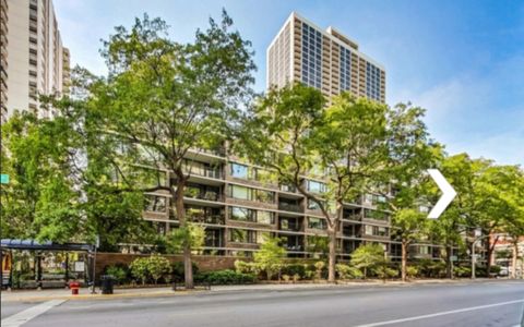 1555 N SANDBURG Terrace 406 Chicago IL 60610