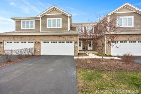 14253 Lacey Drive Lemont IL 60439