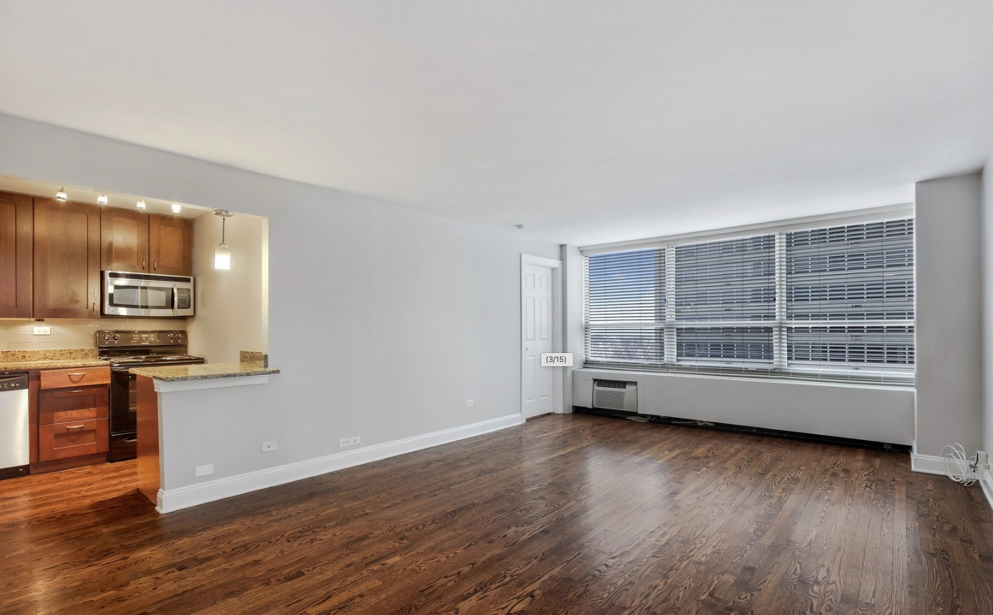 3550 N Lake Shore Drive 1117