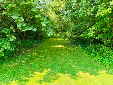 Tiny photo for 3011 N 15270e Road, Momence, IL 60954 (MLS # 12701666)