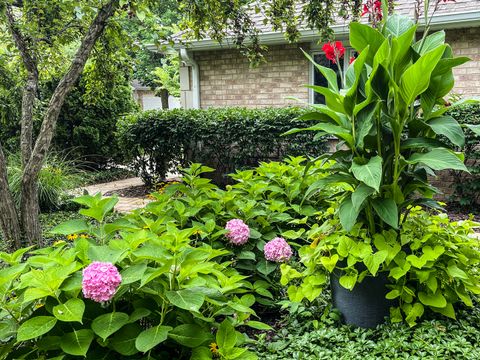 Tiny photo for Park Ridge, IL 60068 (MLS # 12530312)