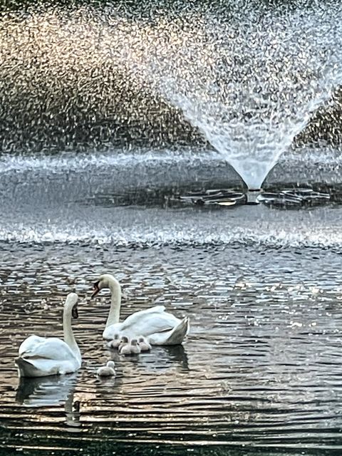 Tiny photo for Park Ridge, IL 60068 (MLS # 12530312)