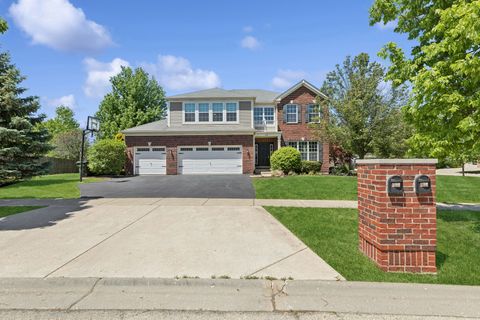 203 Tonell Avenue New Lenox IL 60451