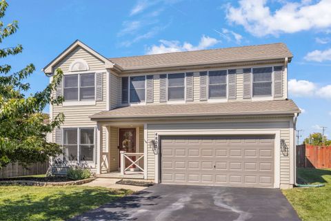 Photo of 4805 Lobelia Court, Plainfield, IL 60544 (MLS # 12476911)