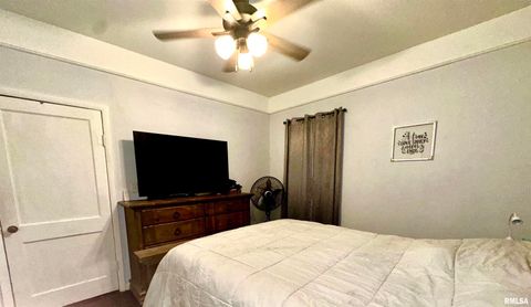 Tiny photo for 602 N SPRINGER Street, Carbondale, IL 62983 (MLS # EB460694)