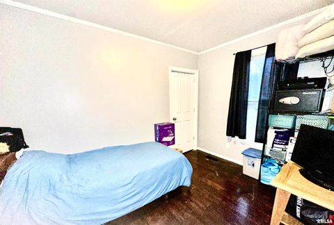 Tiny photo for 602 N SPRINGER Street, Carbondale, IL 62983 (MLS # EB460694)