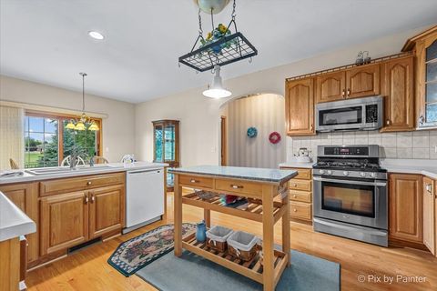 Tiny photo for 602 Woodside Terrace, Hampshire, IL 60140 (MLS # 12489474)