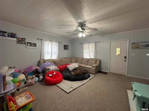 Tiny photo for 206 W Homer Avenue, Harrisburg, IL 62946 (MLS # EB460171)