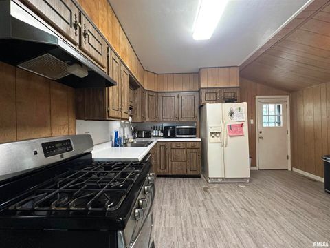 Tiny photo for 206 W Homer Avenue, Harrisburg, IL 62946 (MLS # EB460171)