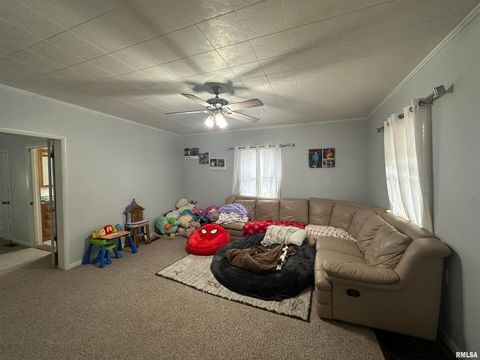 Tiny photo for 206 W Homer Avenue, Harrisburg, IL 62946 (MLS # EB460171)