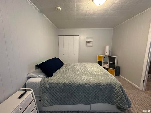 Tiny photo for 206 W Homer Avenue, Harrisburg, IL 62946 (MLS # EB460171)