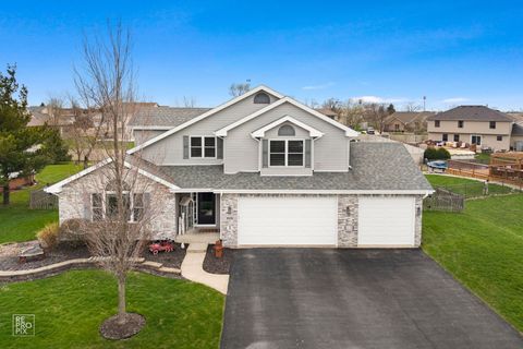 Tiny photo for 1028 LOUISE Lane, Peotone, IL 60468 (MLS # 12613976)