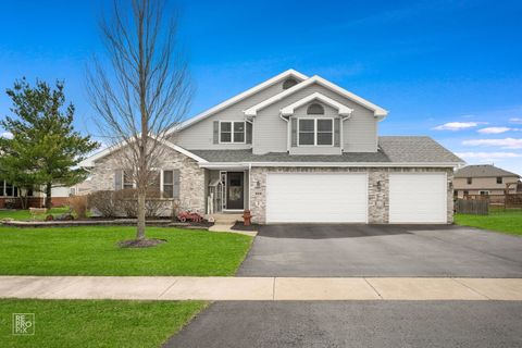 Photo of 1028 LOUISE Lane, Peotone, IL 60468 (MLS # 12613976)