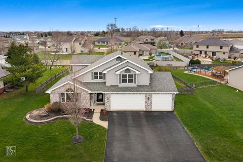 Tiny photo for 1028 LOUISE Lane, Peotone, IL 60468 (MLS # 12613976)