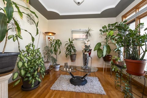 Tiny photo for 1527 DUNFRIES Street, Flossmoor, IL 60422 (MLS # 12781974)
