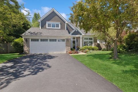 Single Family Residence in Grayslake IL 249 Penny Lane.jpg