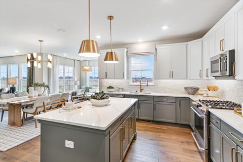 Tiny photo for Oswego, IL 60543 (MLS # 12665291)
