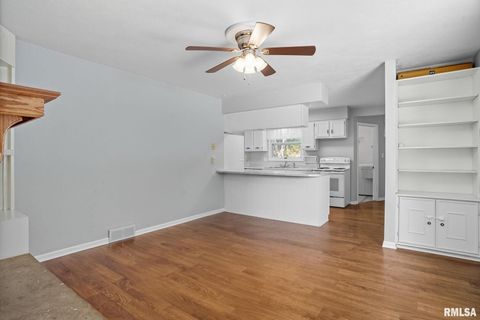 Tiny photo for 109 N 3RD Street, Colona, IL 61241 (MLS # QC4269242)