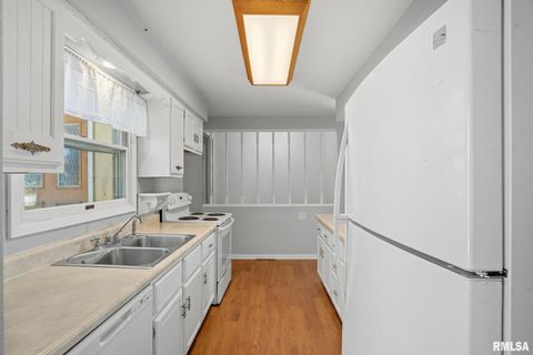 Tiny photo for 109 N 3RD Street, Colona, IL 61241 (MLS # QC4269242)