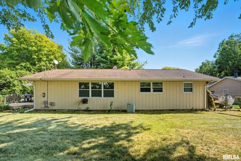 Tiny photo for 109 N 3RD Street, Colona, IL 61241 (MLS # QC4269242)