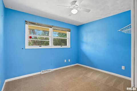 Tiny photo for 109 N 3RD Street, Colona, IL 61241 (MLS # QC4269242)