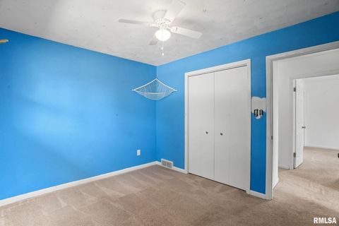 Tiny photo for 109 N 3RD Street, Colona, IL 61241 (MLS # QC4269242)