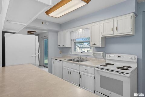 Tiny photo for 109 N 3RD Street, Colona, IL 61241 (MLS # QC4269242)