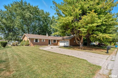 Tiny photo for 109 N 3RD Street, Colona, IL 61241 (MLS # QC4269242)