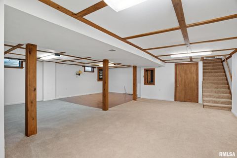 Tiny photo for 109 N 3RD Street, Colona, IL 61241 (MLS # QC4269242)