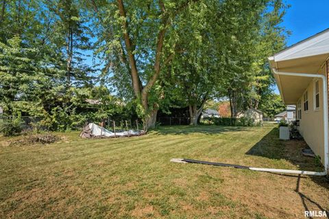 Tiny photo for 109 N 3RD Street, Colona, IL 61241 (MLS # QC4269242)