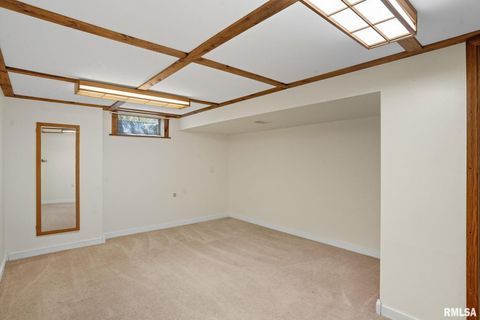 Tiny photo for 109 N 3RD Street, Colona, IL 61241 (MLS # QC4269242)