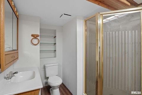 Tiny photo for 109 N 3RD Street, Colona, IL 61241 (MLS # QC4269242)