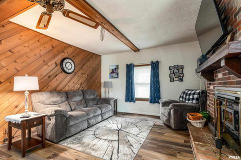 Tiny photo for 207 W Sylvester Street, Christopher, IL 62822 (MLS # EB460415)