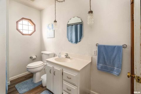 Tiny photo for 207 W Sylvester Street, Christopher, IL 62822 (MLS # EB460415)