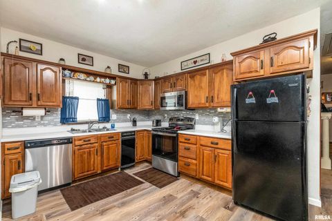 Tiny photo for 207 W Sylvester Street, Christopher, IL 62822 (MLS # EB460415)